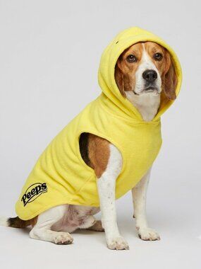 Bright Yellow peeps costume - medium